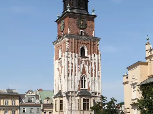 PURO CityGuide  Town Hall Tower